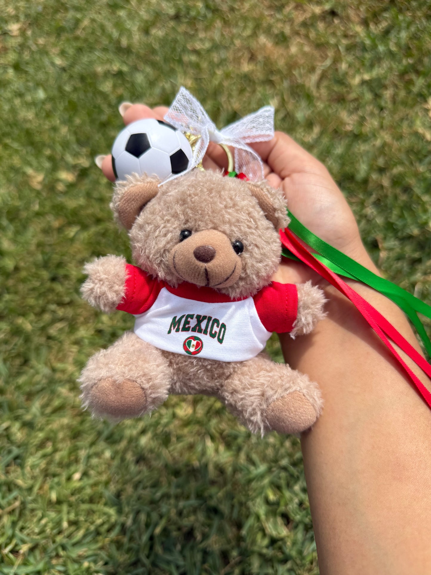 Mexico bear