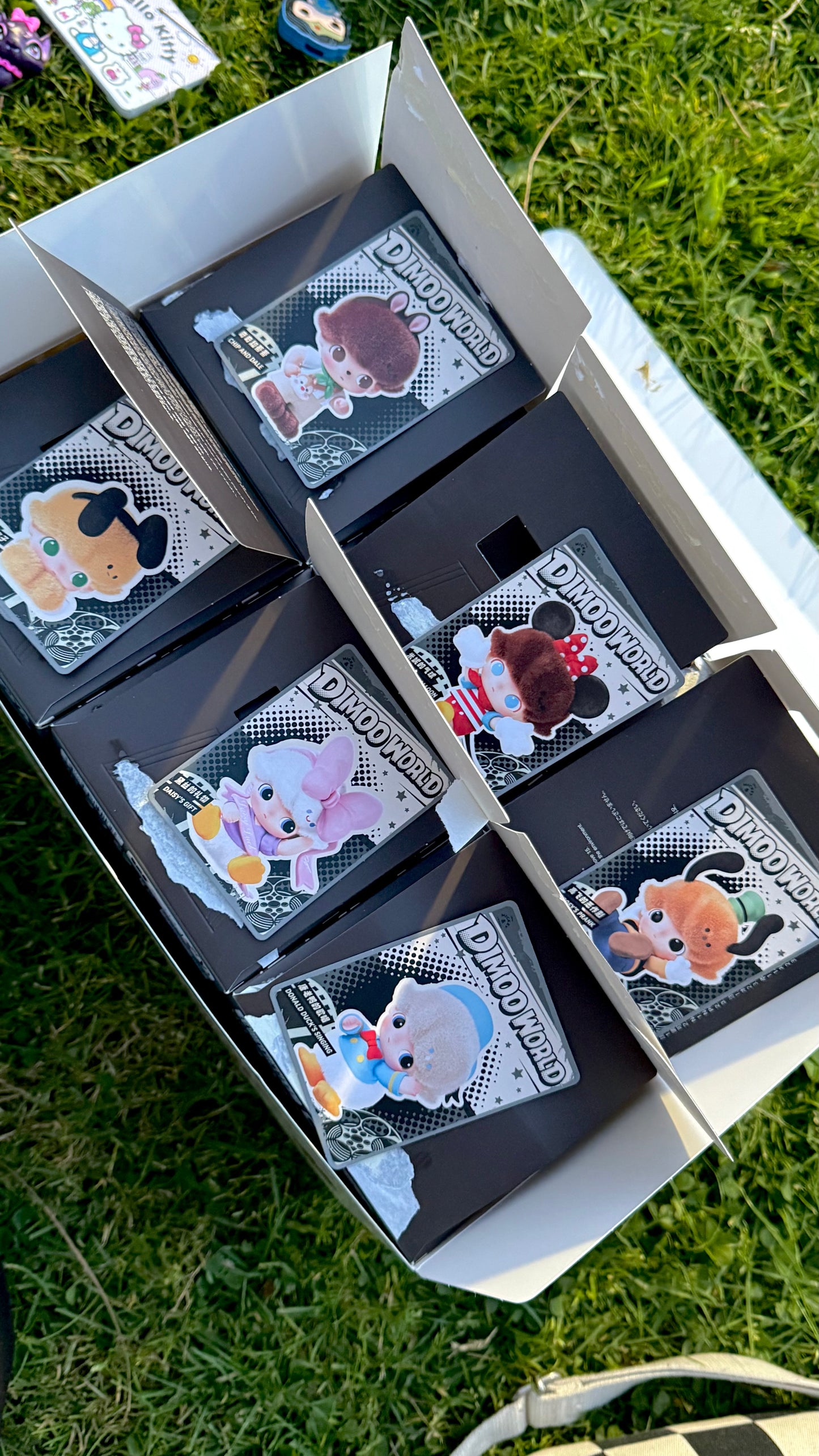 Character plushie OPEN box