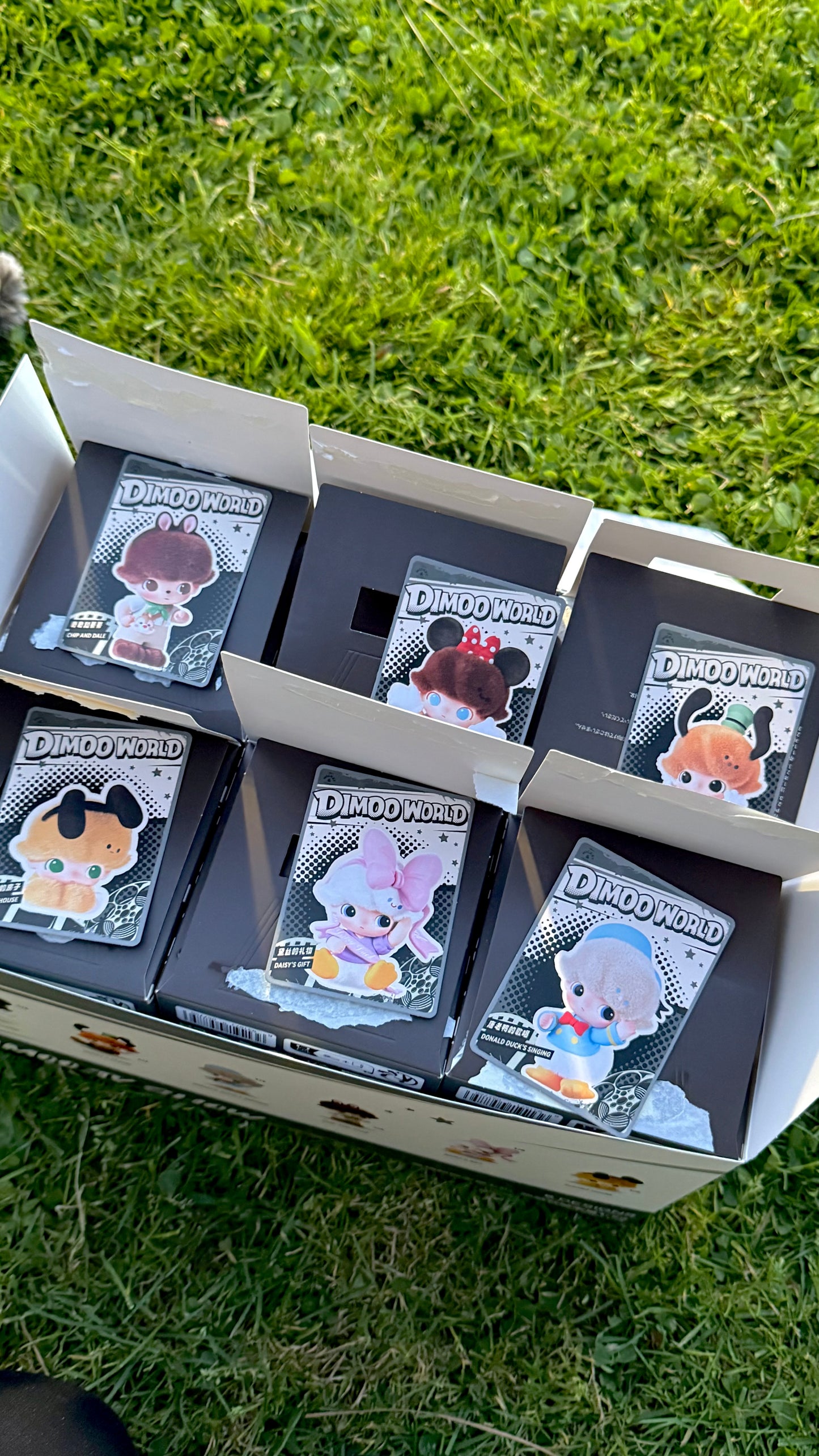 Character plushie OPEN box