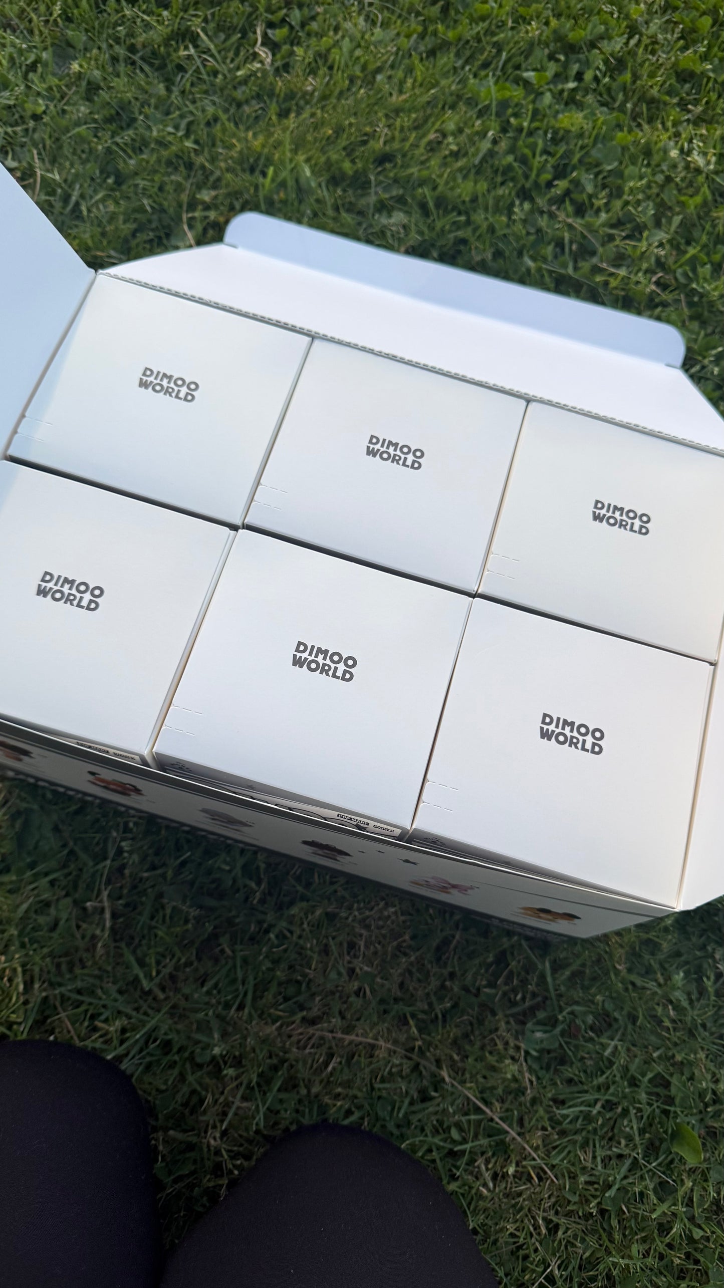 Character plushie OPEN box
