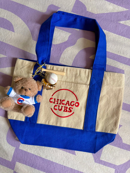 Chicago bag