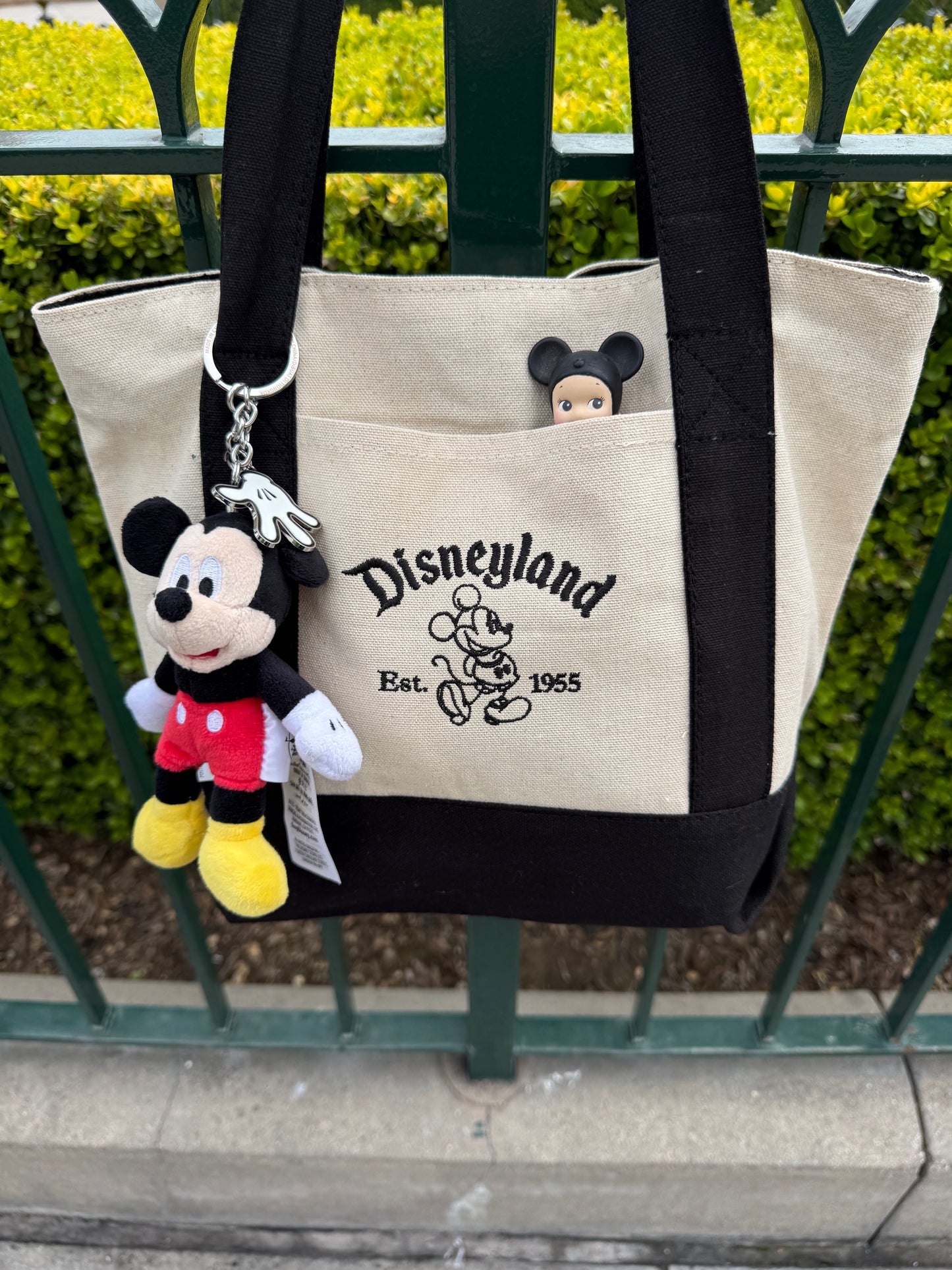 Resort mini tote bag