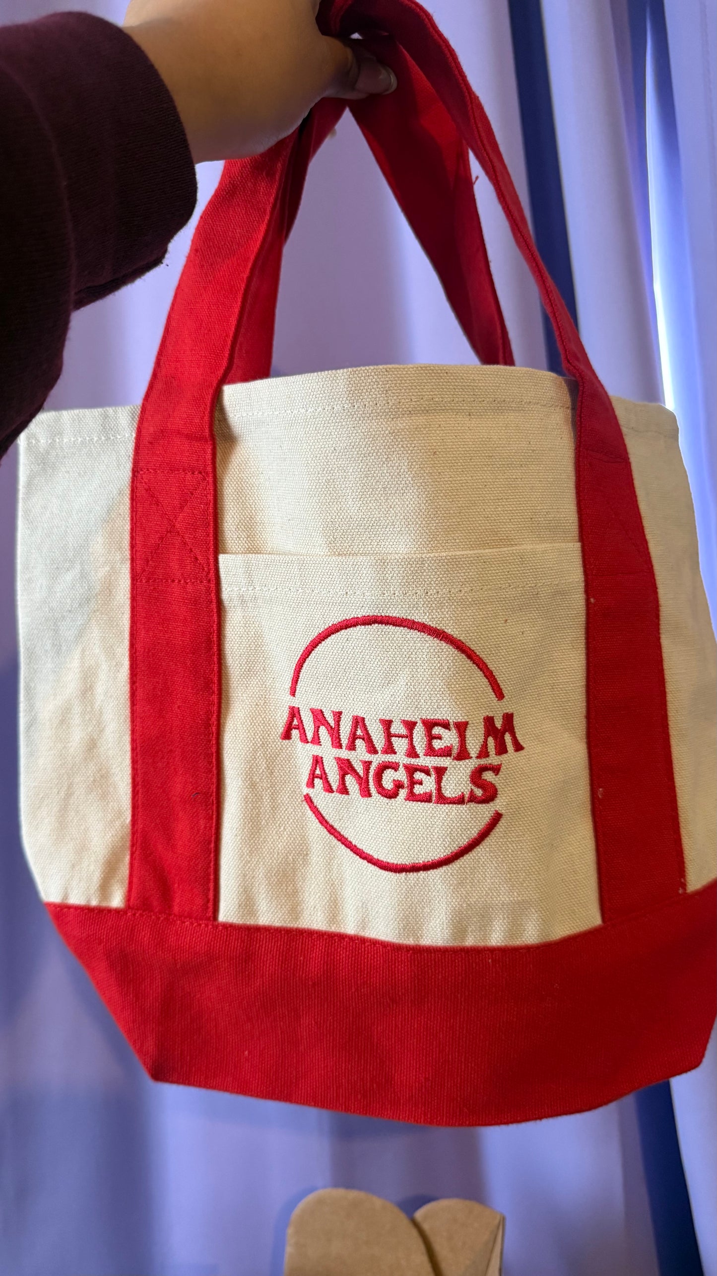 Angeles mini tote bag